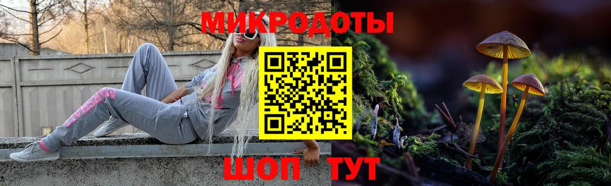 Псилоцибиновые грибы мицелий  Псилоцибиновые грибы GOLDEN TEACHER  Вход с VPN  Дербент 