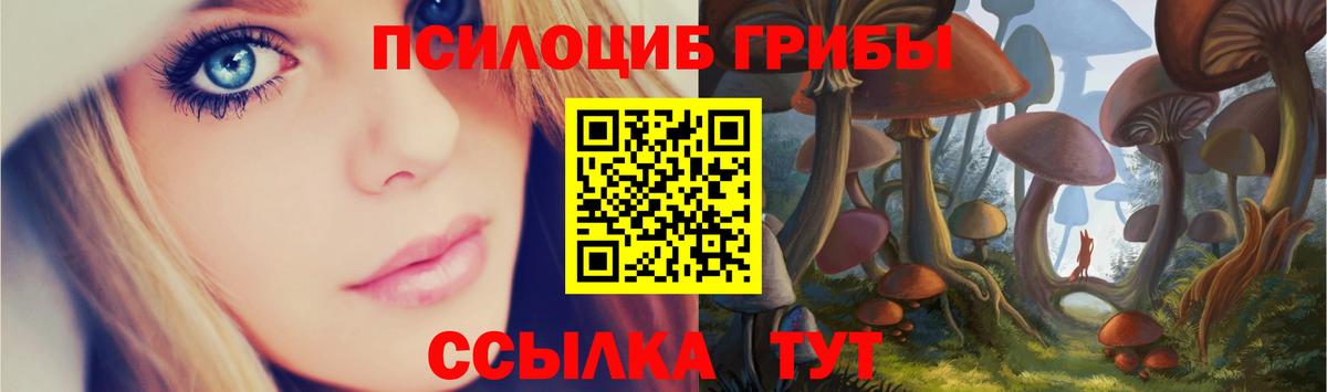 Галлюциногенные грибы мицелий Дербент