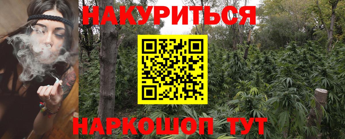 Канабис гибрид Дербент